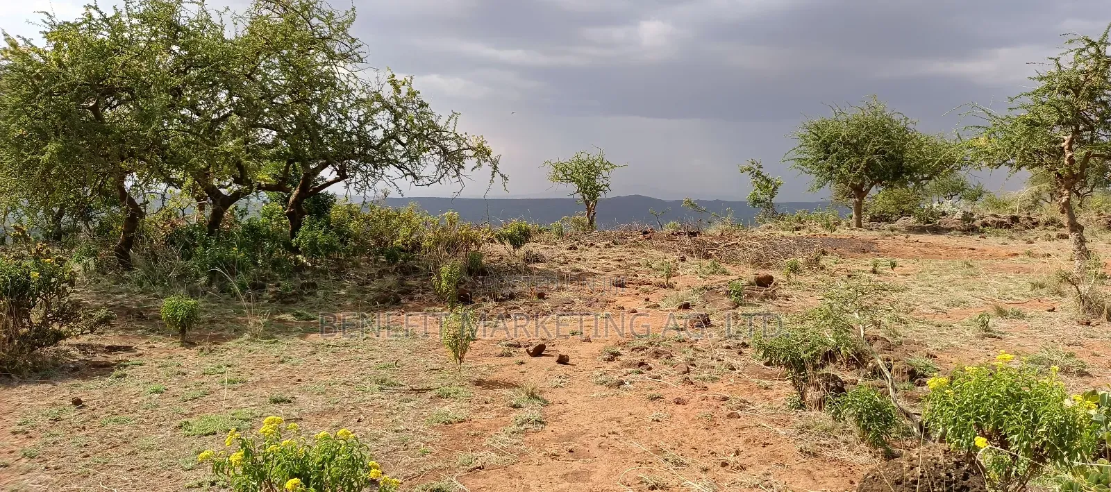 One Acre Cliff Plot With Scenic Views in Ngong Kimuka in Ngong