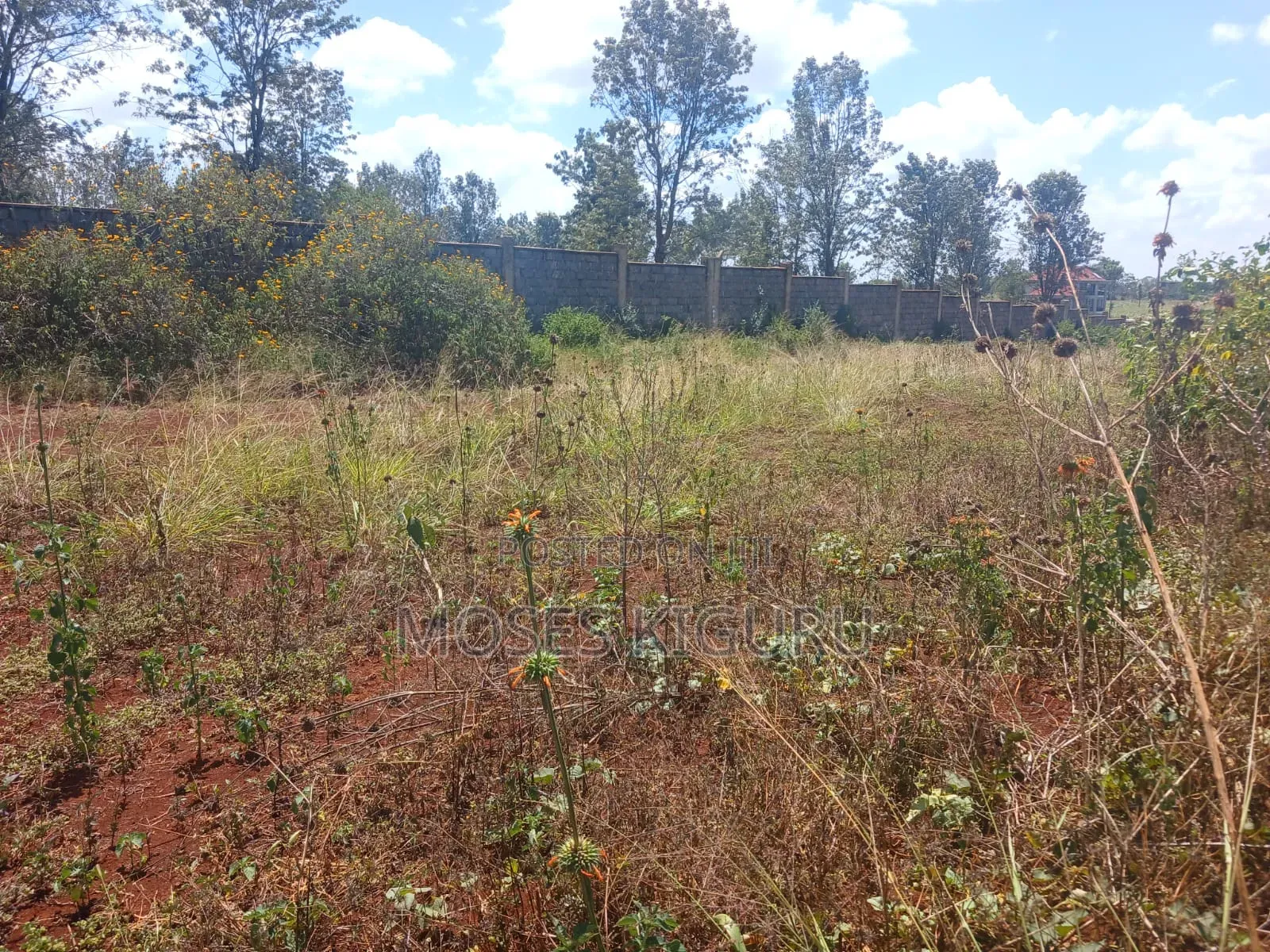 Thika 1/4 Residential Plots. in Thika