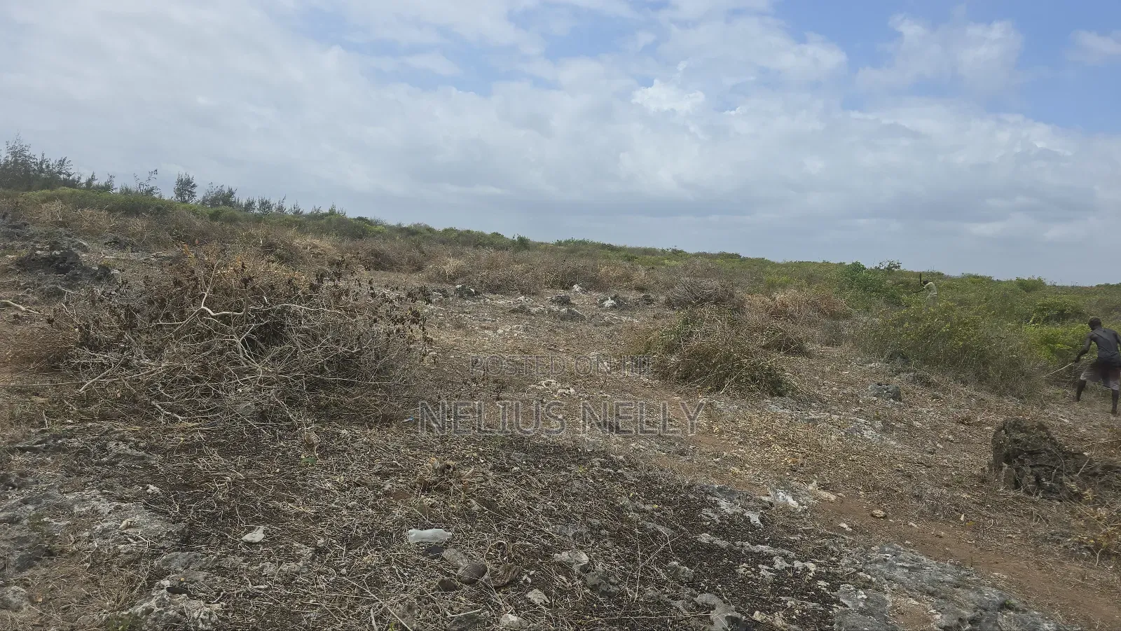 2.5 Acres Chumani Beach Front Available for Sale in Kilifi South