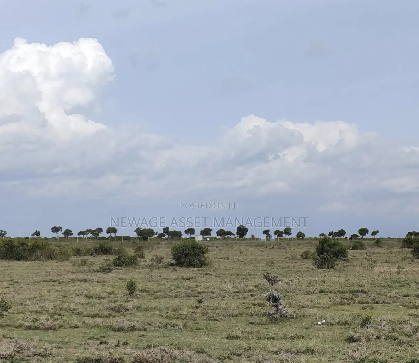 6 Contiguous Plots for Sale Along Nanyuki - Rumuriti Road. in Nanyuki