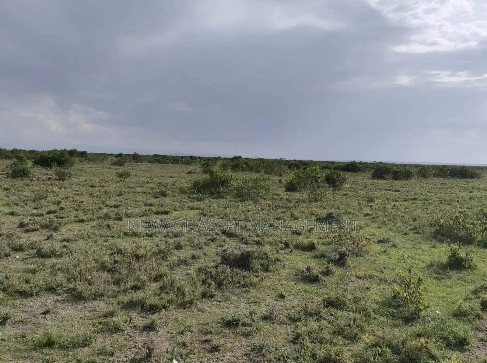 6 Contiguous Plots for Sale Along Nanyuki - Rumuriti Road. in Nanyuki