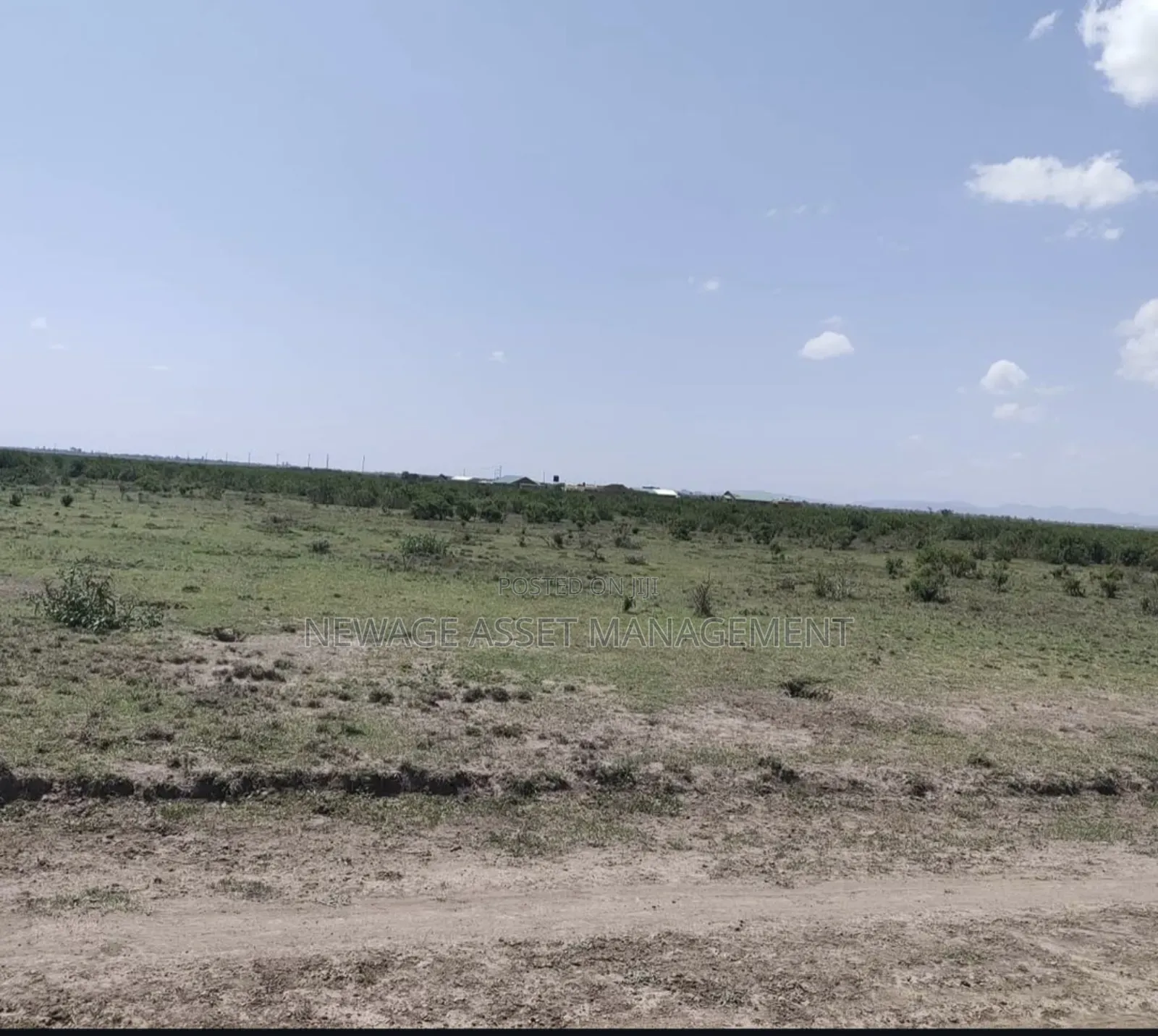 6 Contiguous Plots for Sale Along Nanyuki - Rumuriti Road. in Nanyuki