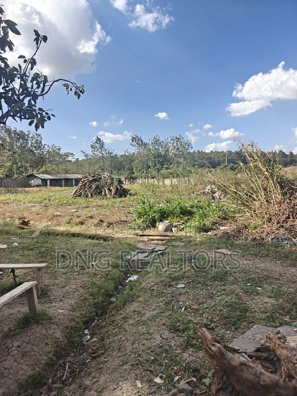 0.5 Acres for Sale Karen in Karen