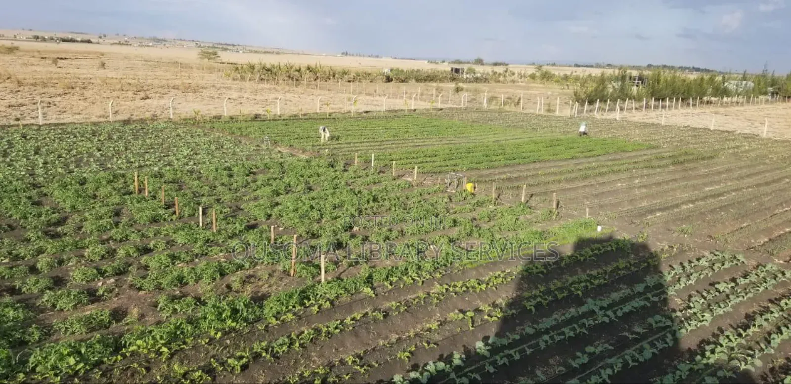 150 Acres Industrial Land – Isinya (Subdivide Flip for Millions!) in Isinya