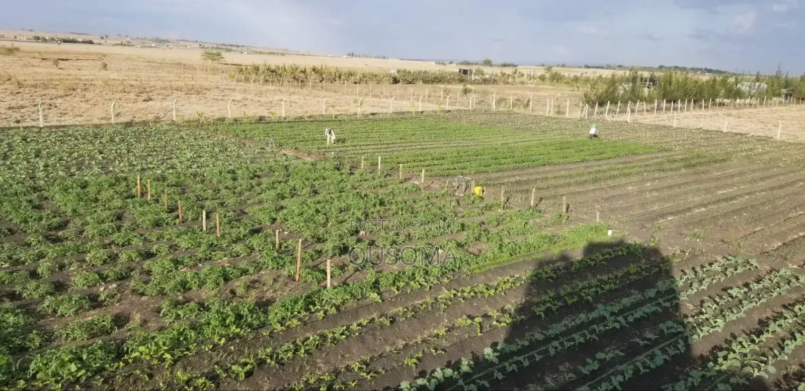 150 Acres Industrial Land – Isinya (Subdivide Flip for Millions!) in Isinya