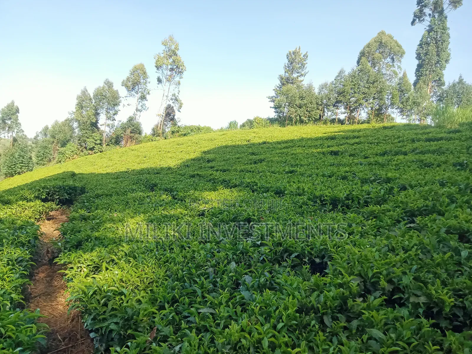 4.5 Acres Of Land On Sale At Karinga- Kangari in Kangari