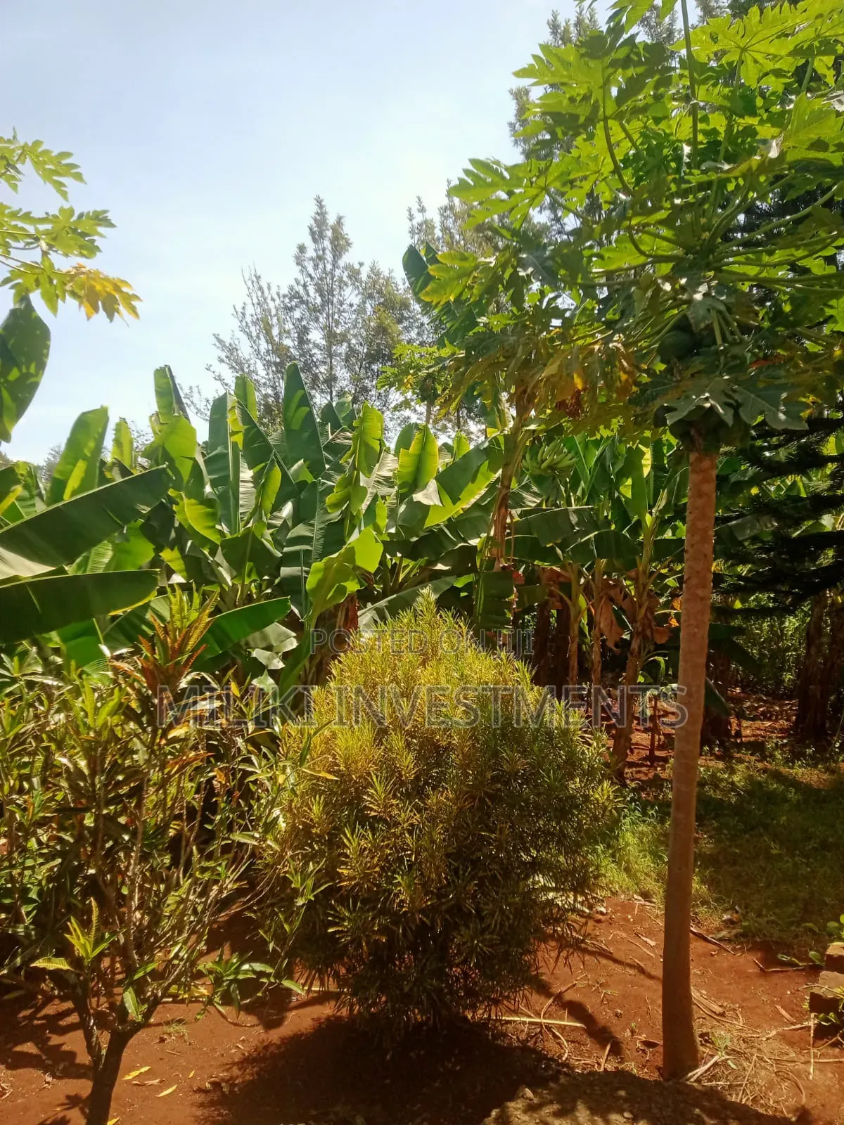 Acre of Land on Sale at Mukuyu in Mbiri