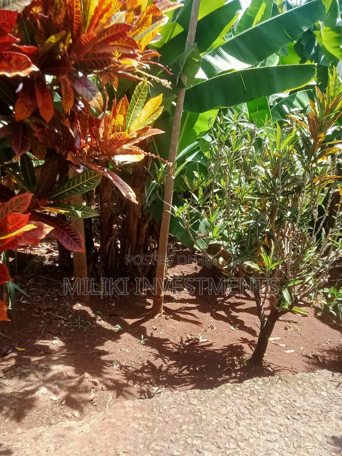 Acre of Land on Sale at Mukuyu in Mbiri