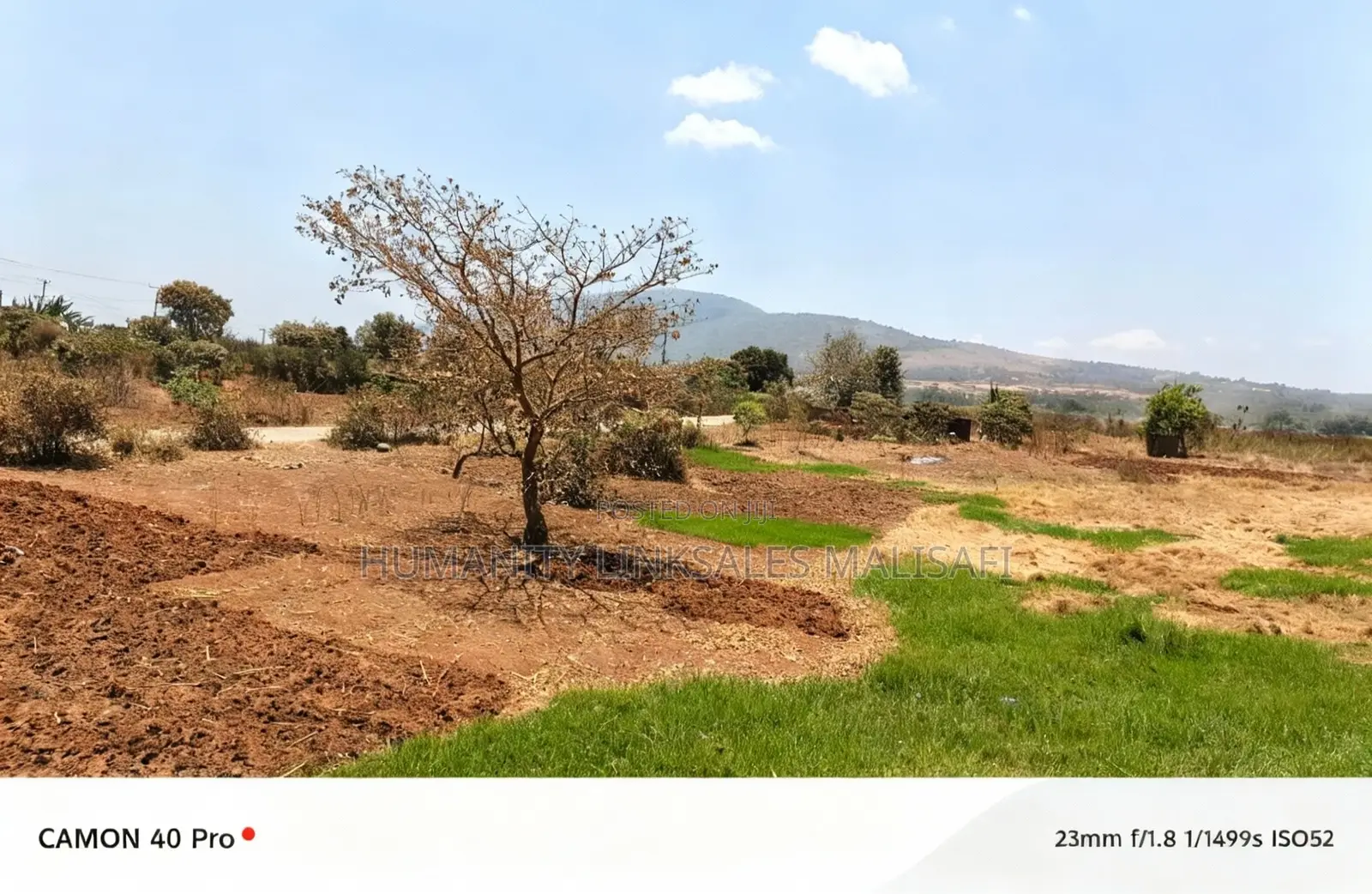 2 Acres, Thika Gatuanyaga, Ready Titledeed for Sell in Gatuanyaga