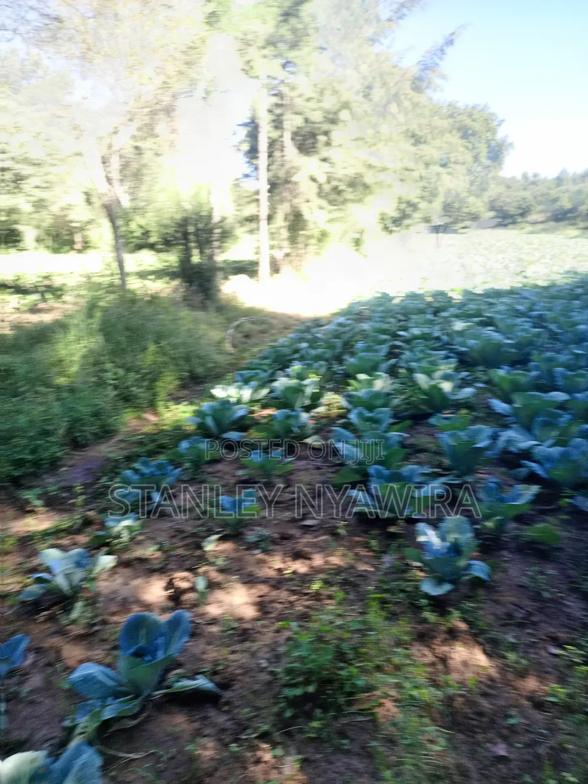 4.5 Acrea Nanyuki Fronting River in Laikipia East