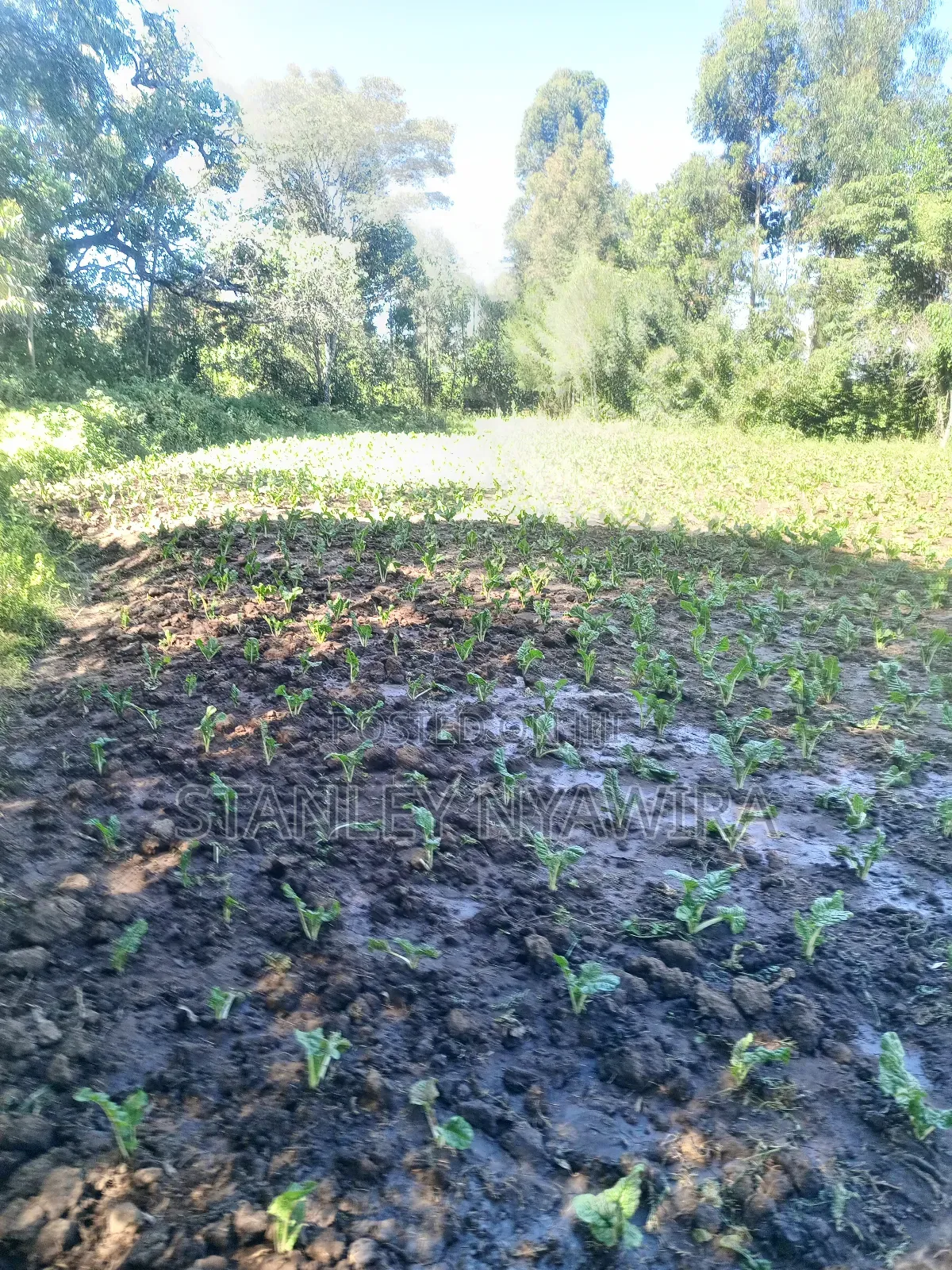4.5 Acrea Nanyuki Fronting River in Laikipia East