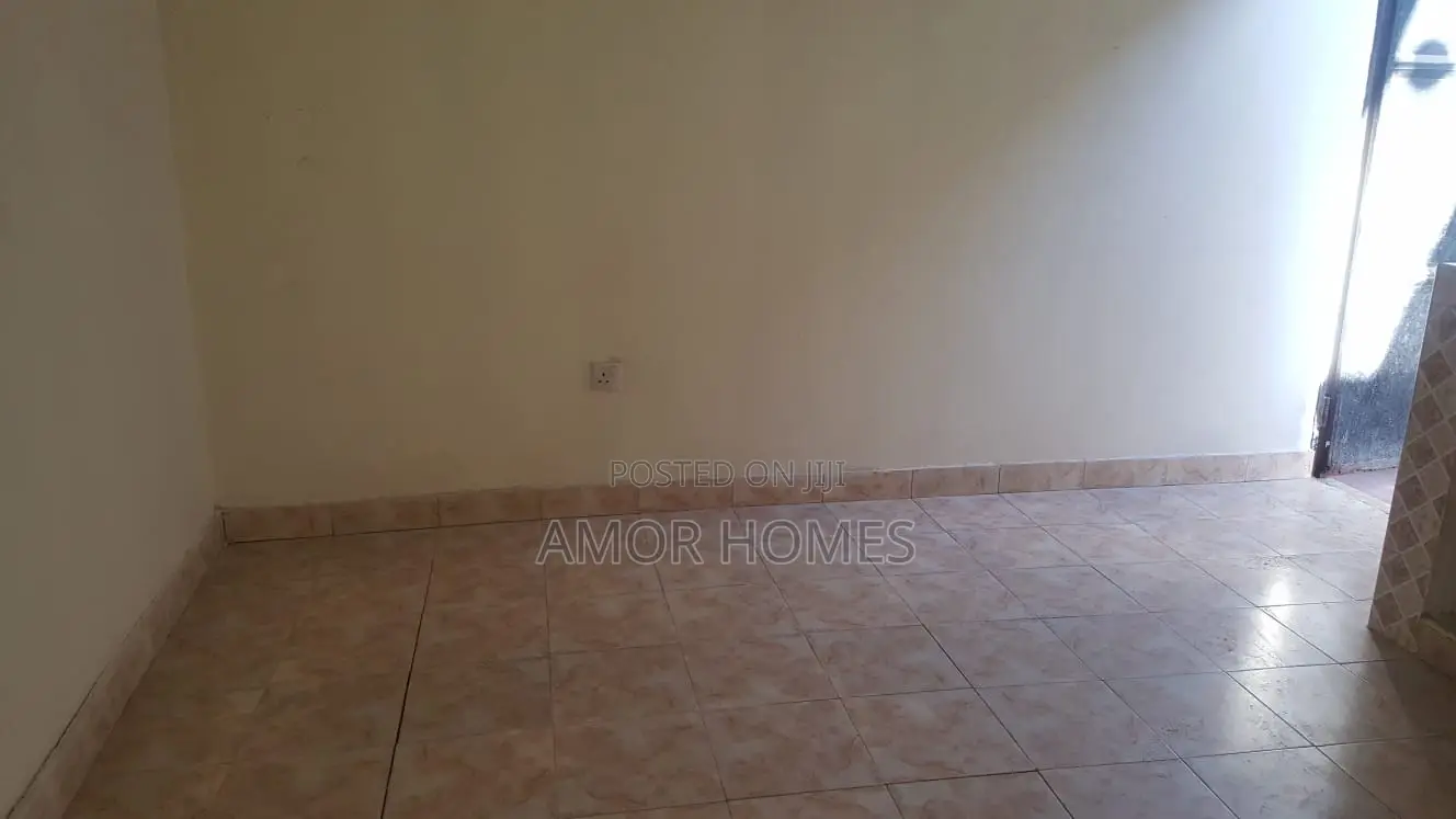 1bdrm Bedsitter in Manoni, Mshomoroni for rent in Mshomoroni