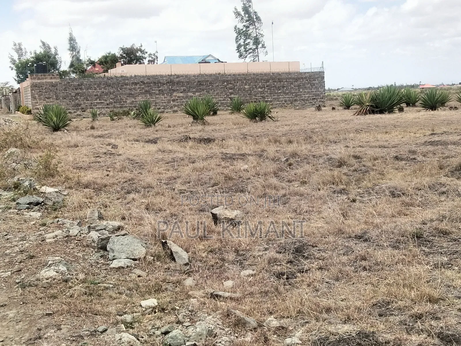 Juja Farm Mumba Plots for Sale in Kalimoni