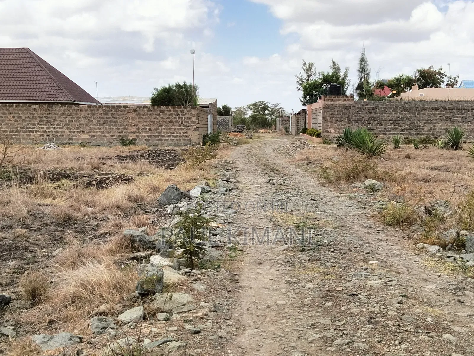 Juja Farm Mumba Plots for Sale in Kalimoni