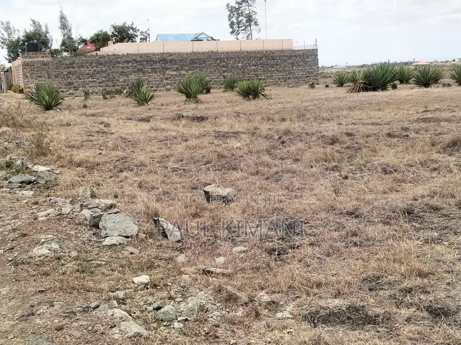 Juja Farm Mumba Plots for Sale in Kalimoni