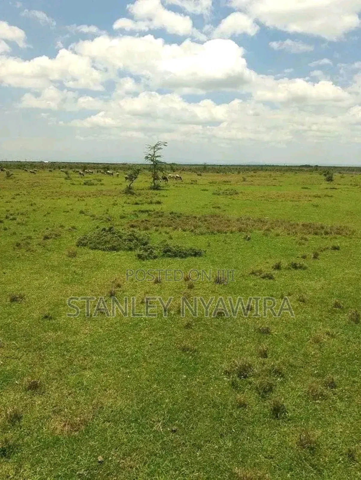 15 Acreas Nyeri Nyahururu Highway in Laikipia East