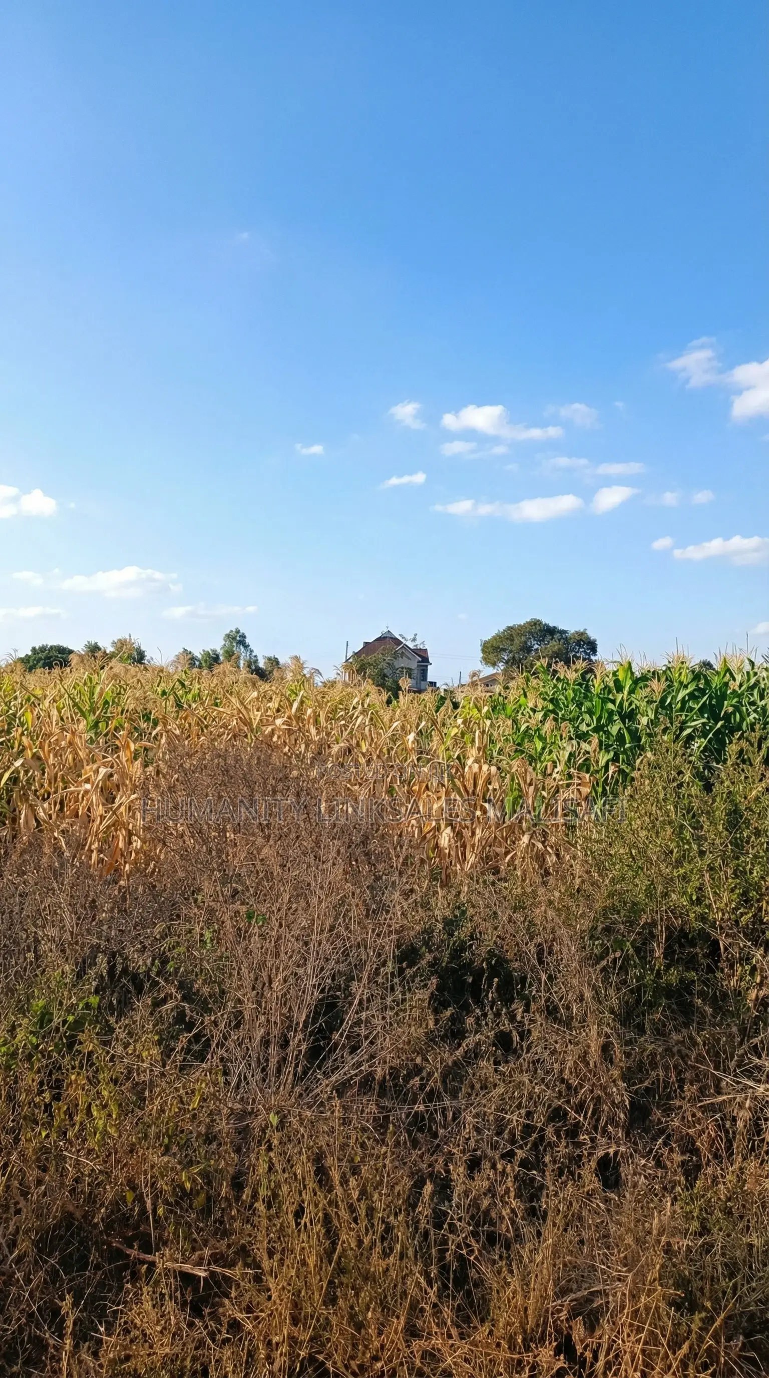 Kenyatta Road,Two Rivers Estate 40 by 80 Plots for Sell,Titled in Kenyatta Road / Theta