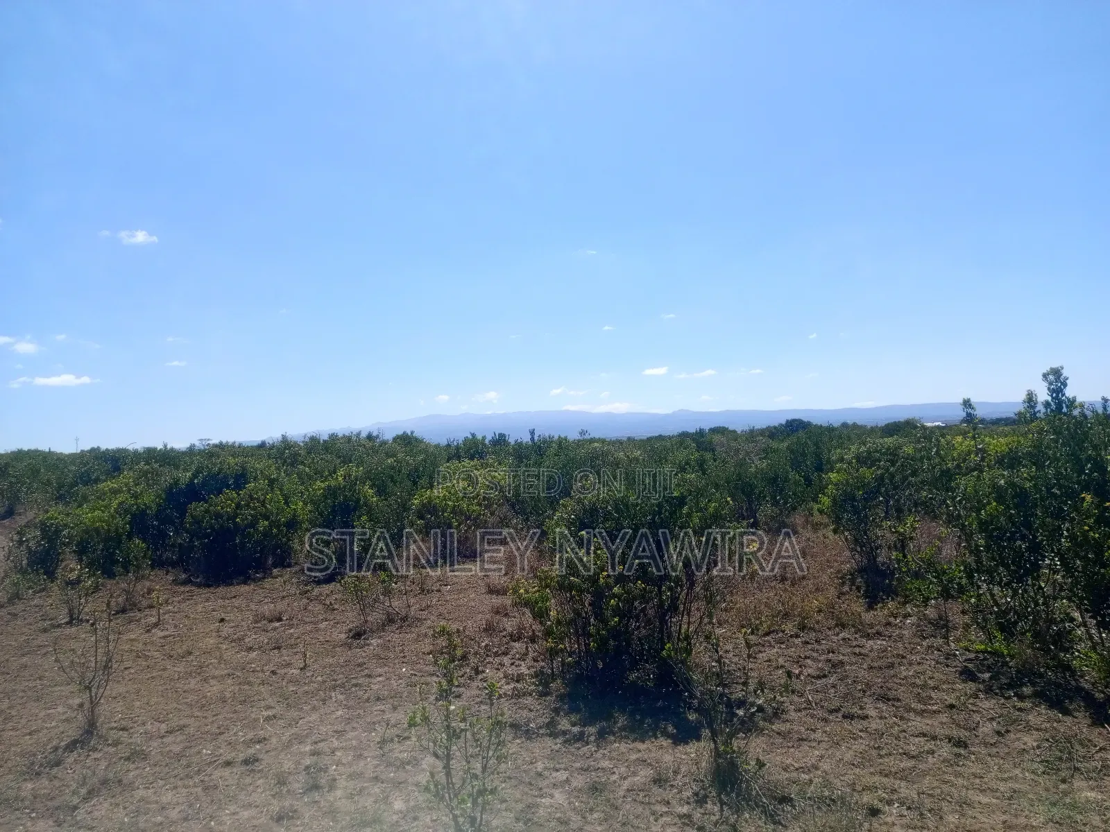 16 and Acre for Sale Karigoni Gobit in Laikipia East