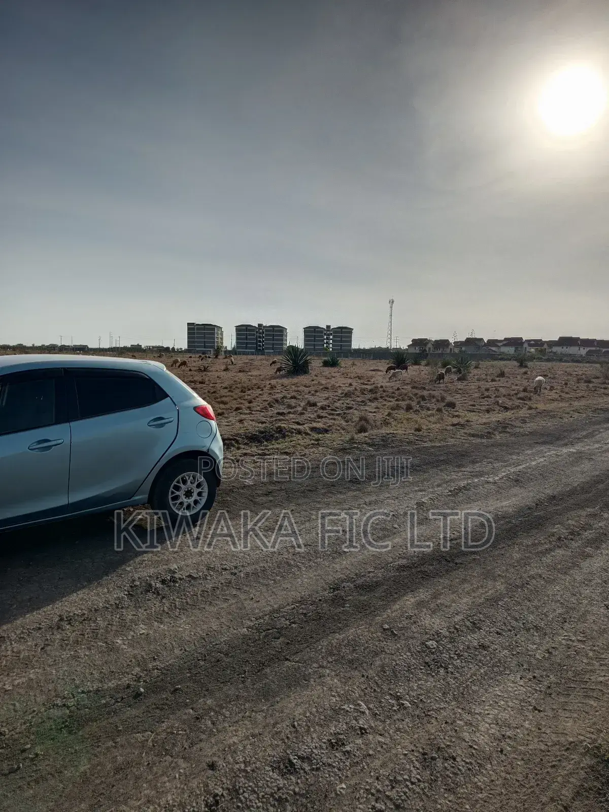 50×100 Plot for Sale in Juja in Juja