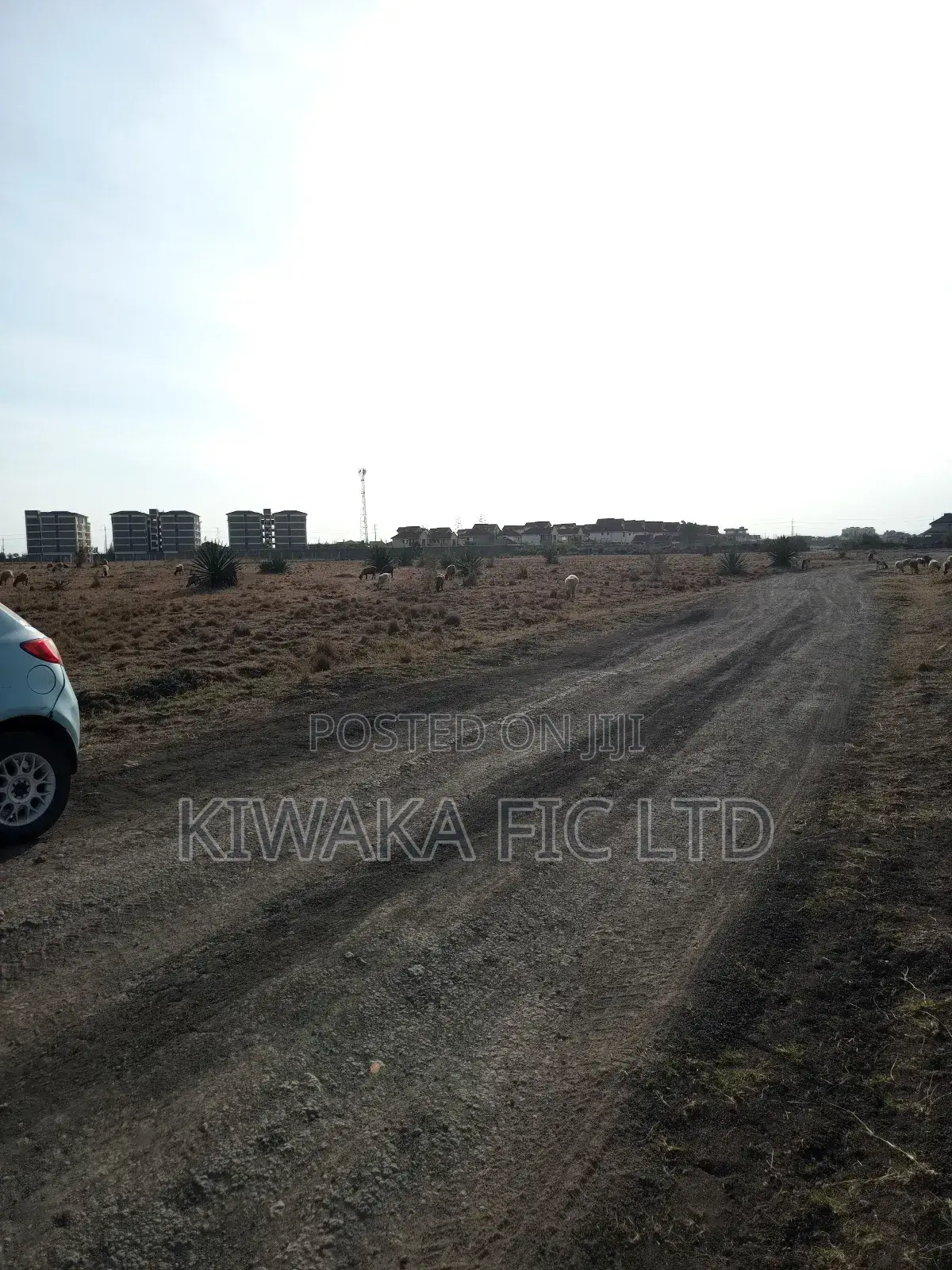 50×100 Plot for Sale in Juja in Juja