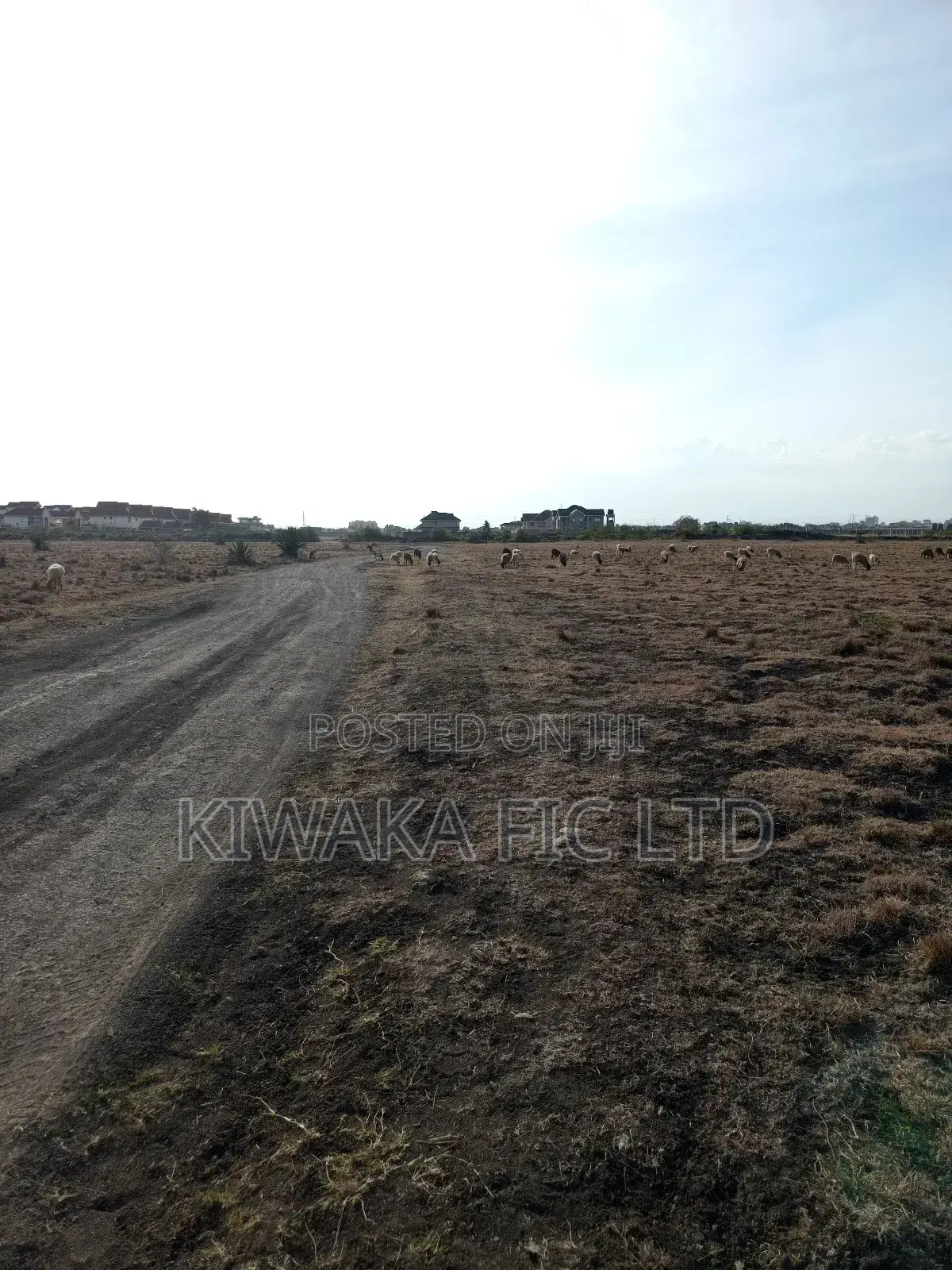 50×100 Plot for Sale in Juja in Juja