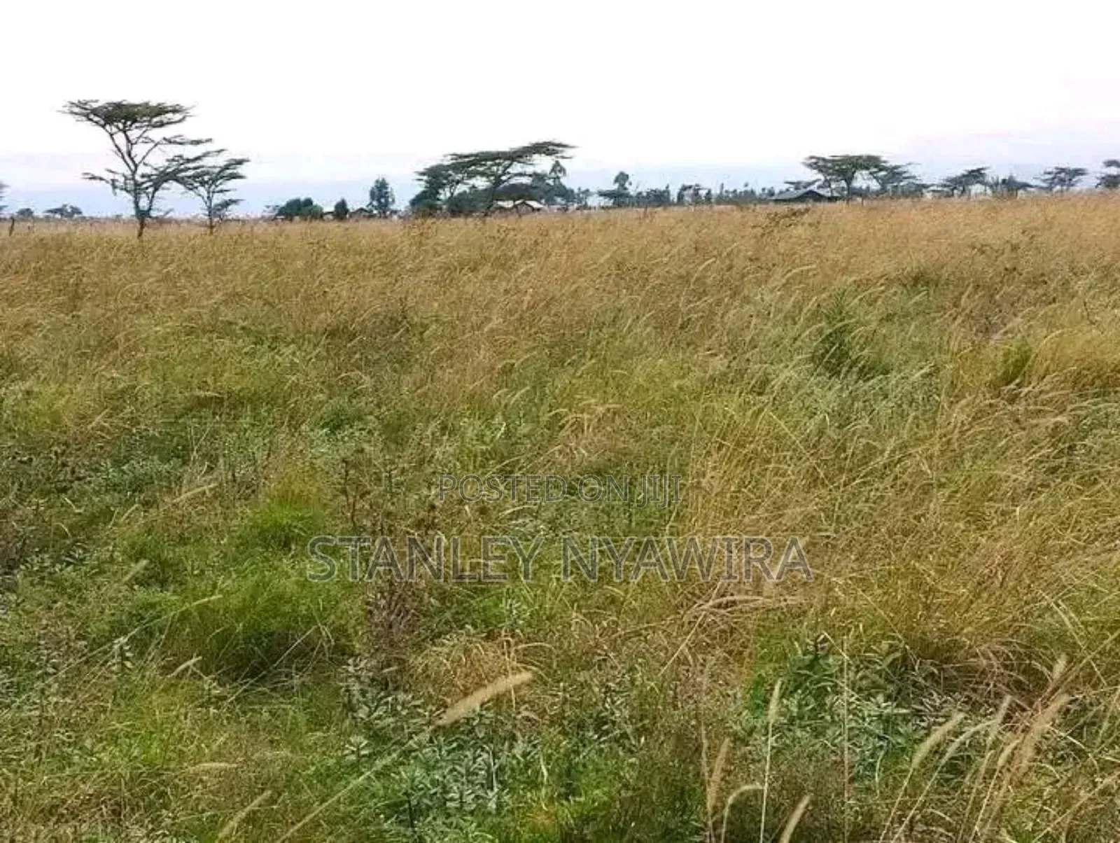 10 Acreas Gobit Munyaka in Laikipia East