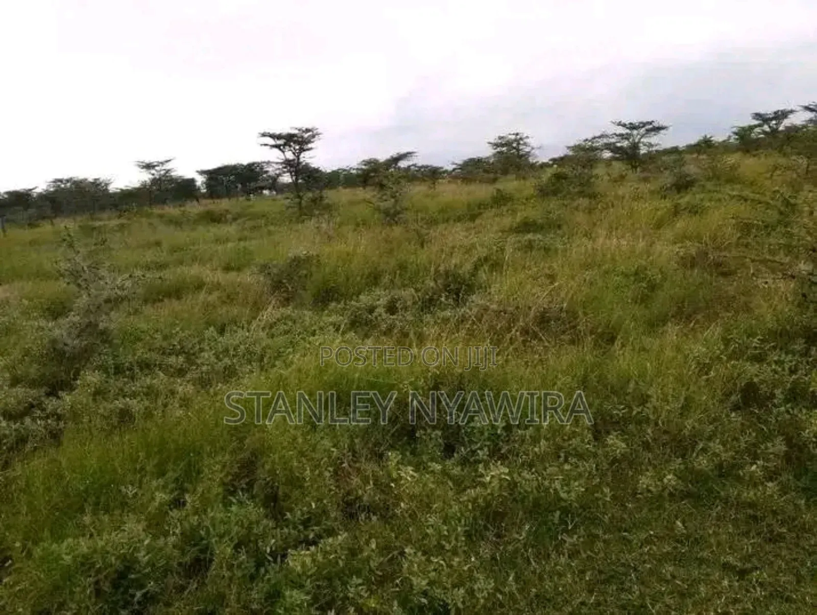 10 Acreas Gobit Munyaka in Laikipia East