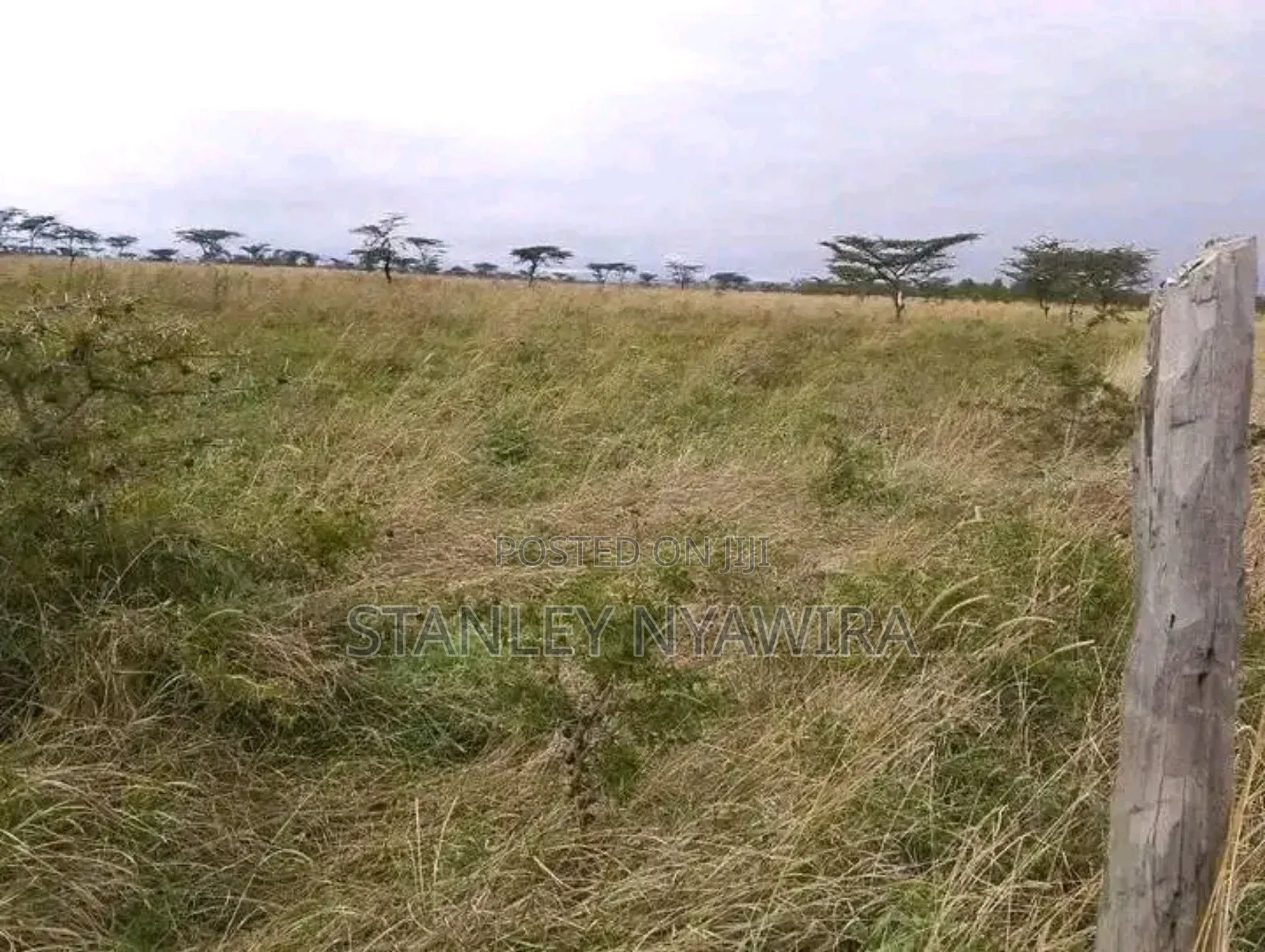10 Acreas Gobit Munyaka in Laikipia East