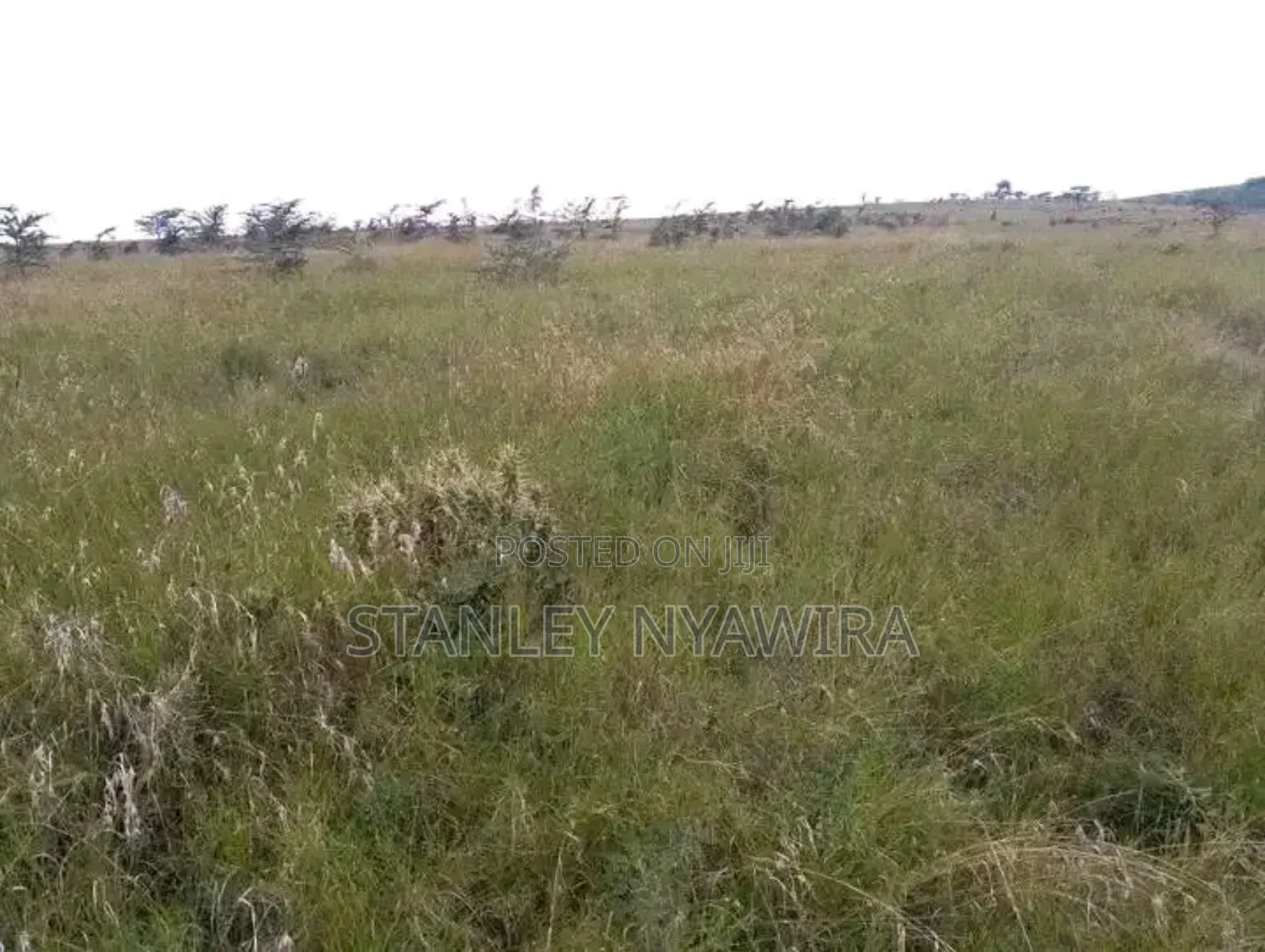 10 Acreas Gobit Munyaka in Laikipia East