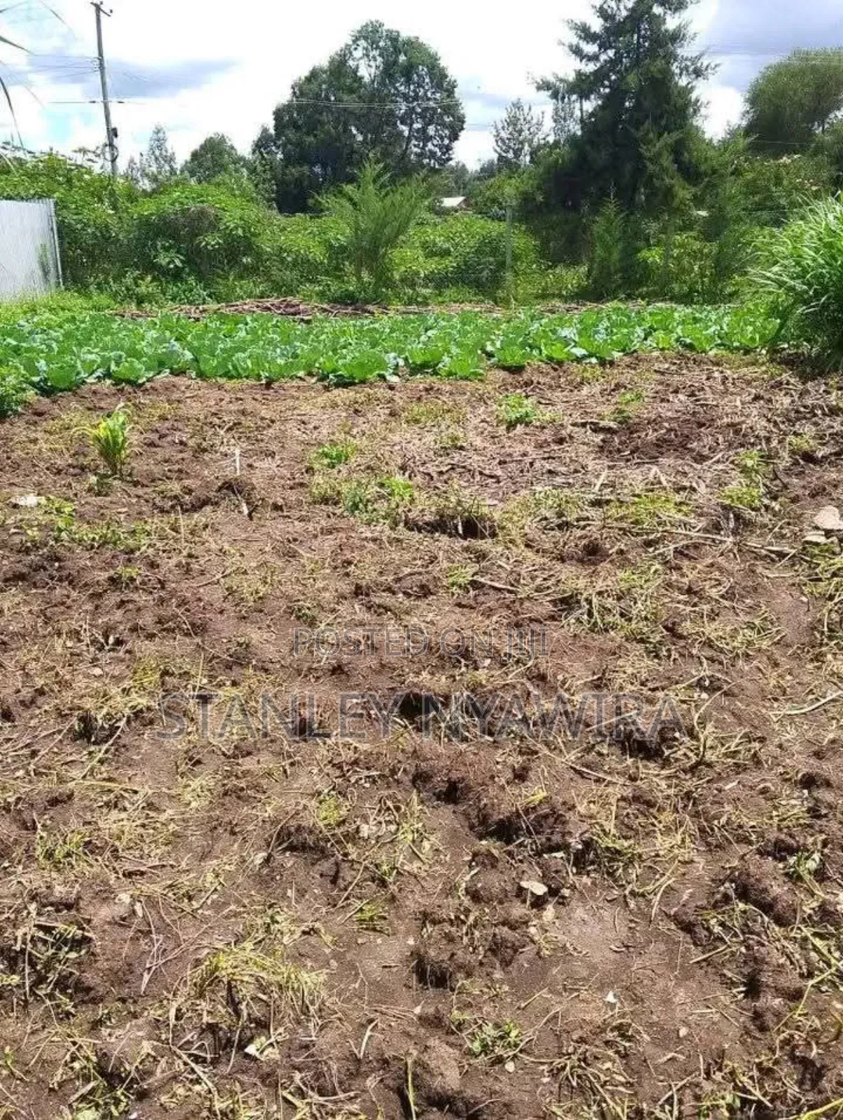 2 Acres Nanyuki for Farming in Laikipia East