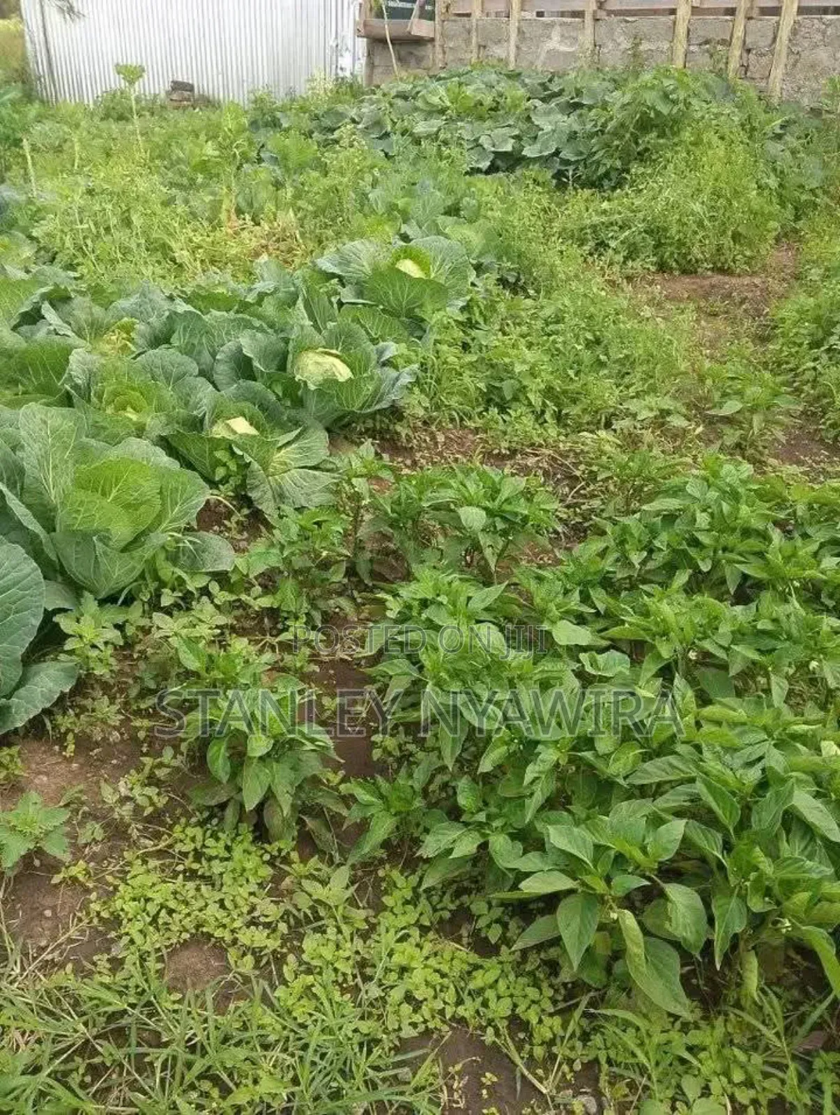 2 Acres Nanyuki for Farming in Laikipia East