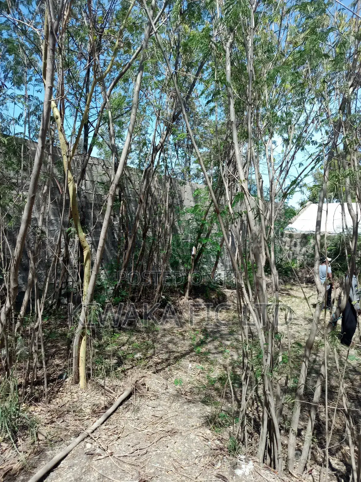 100×120 Plot for Sale in Ruai in Ruai
