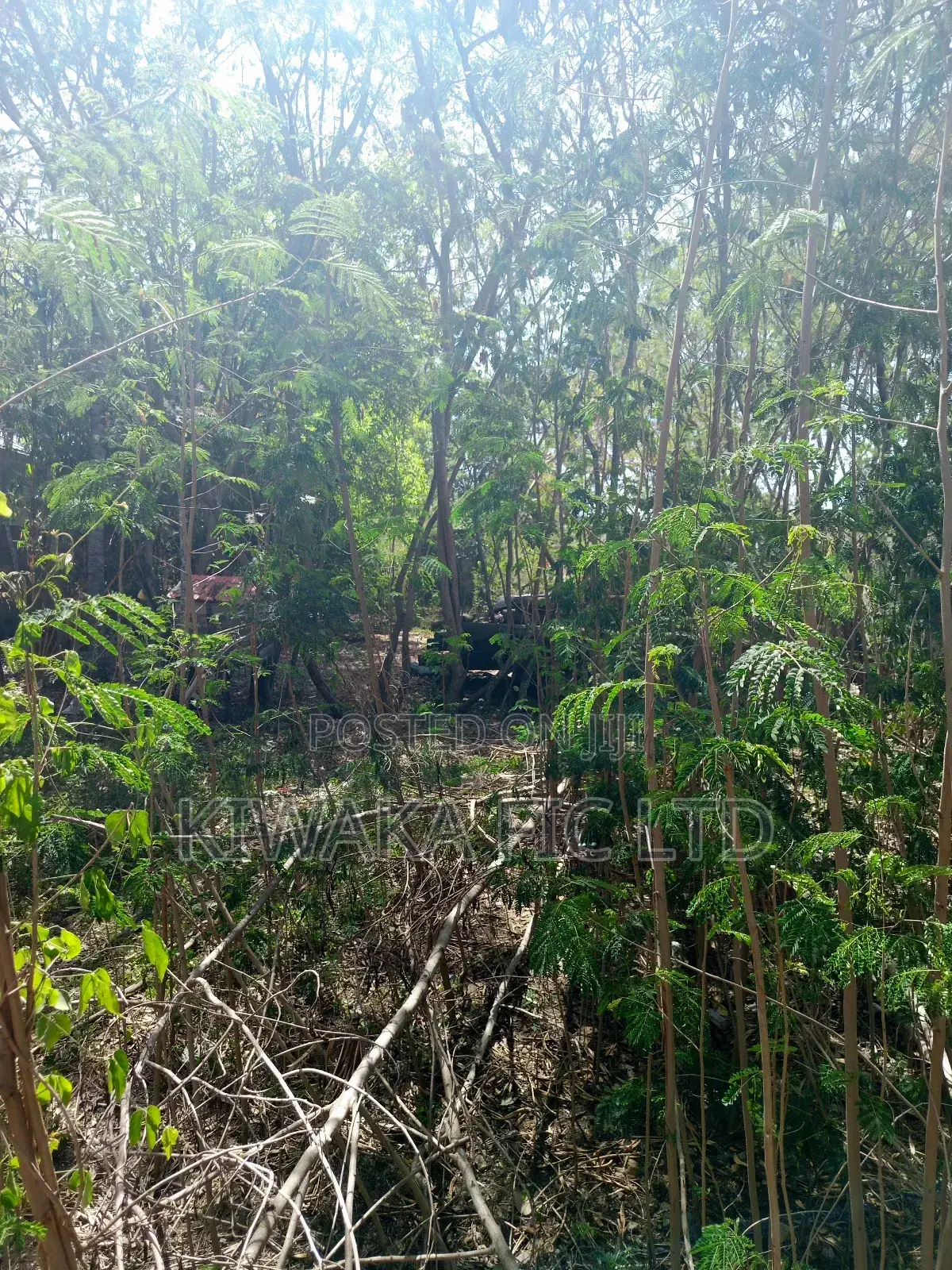 100×120 Plot for Sale in Ruai in Ruai