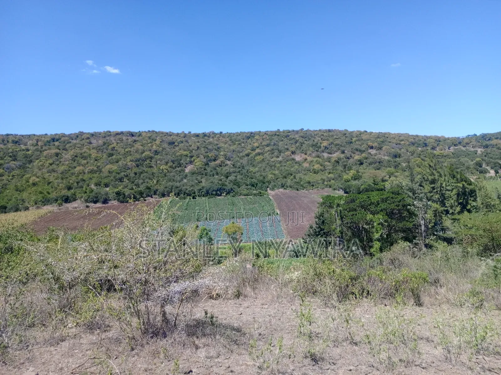 22 Acrea Gobitt . Kariguini Lakipia East in Laikipia East