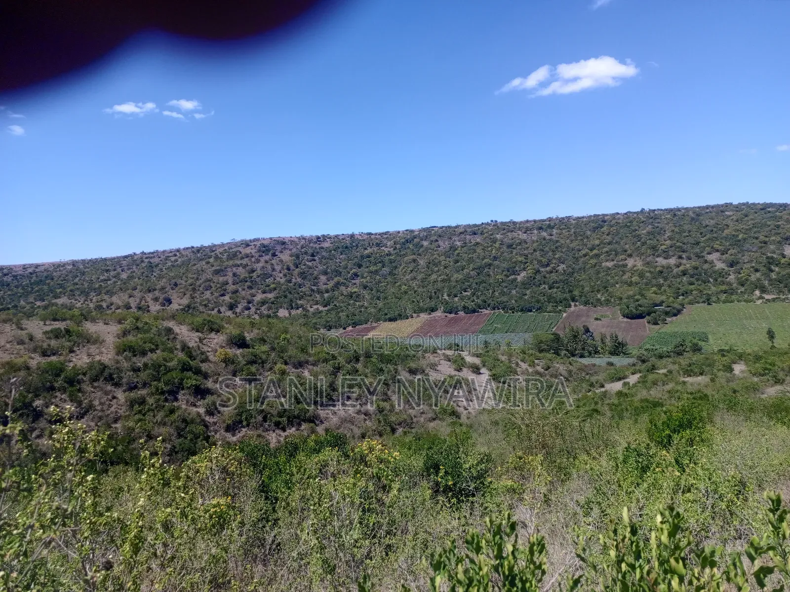 22 Acrea Gobitt . Kariguini Lakipia East in Laikipia East