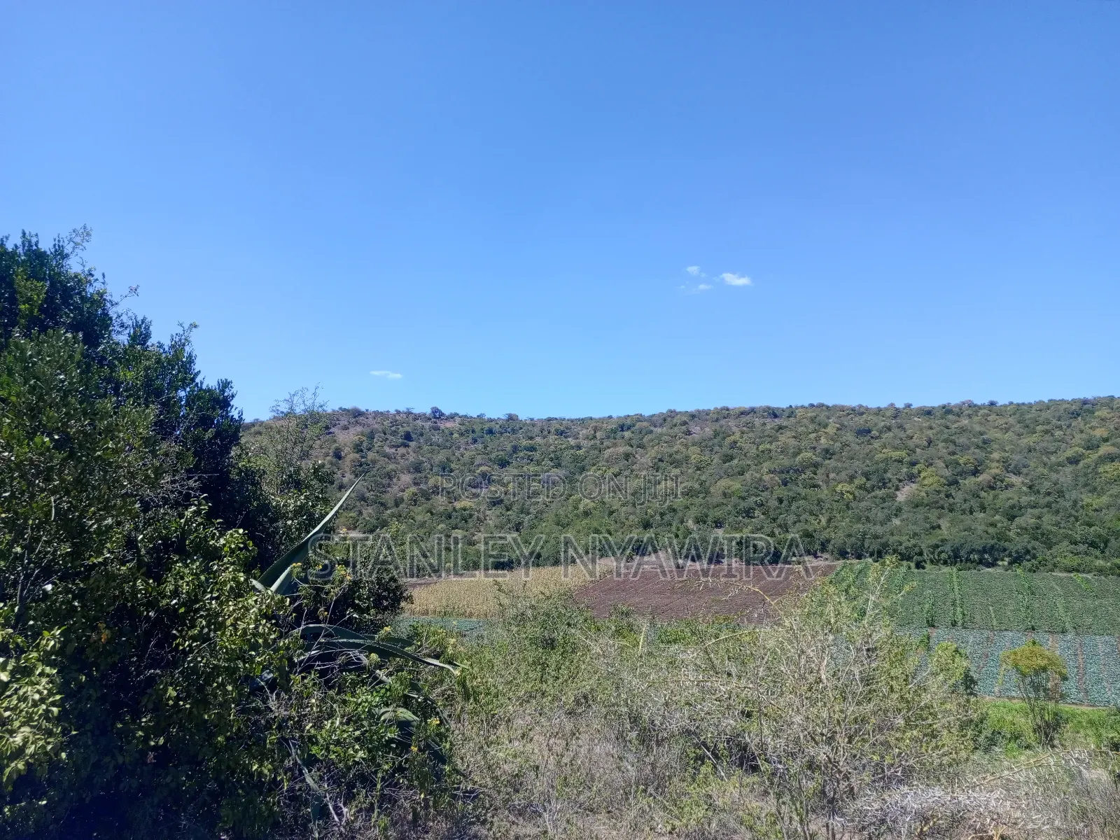 22 Acrea Gobitt . Kariguini Lakipia East in Laikipia East