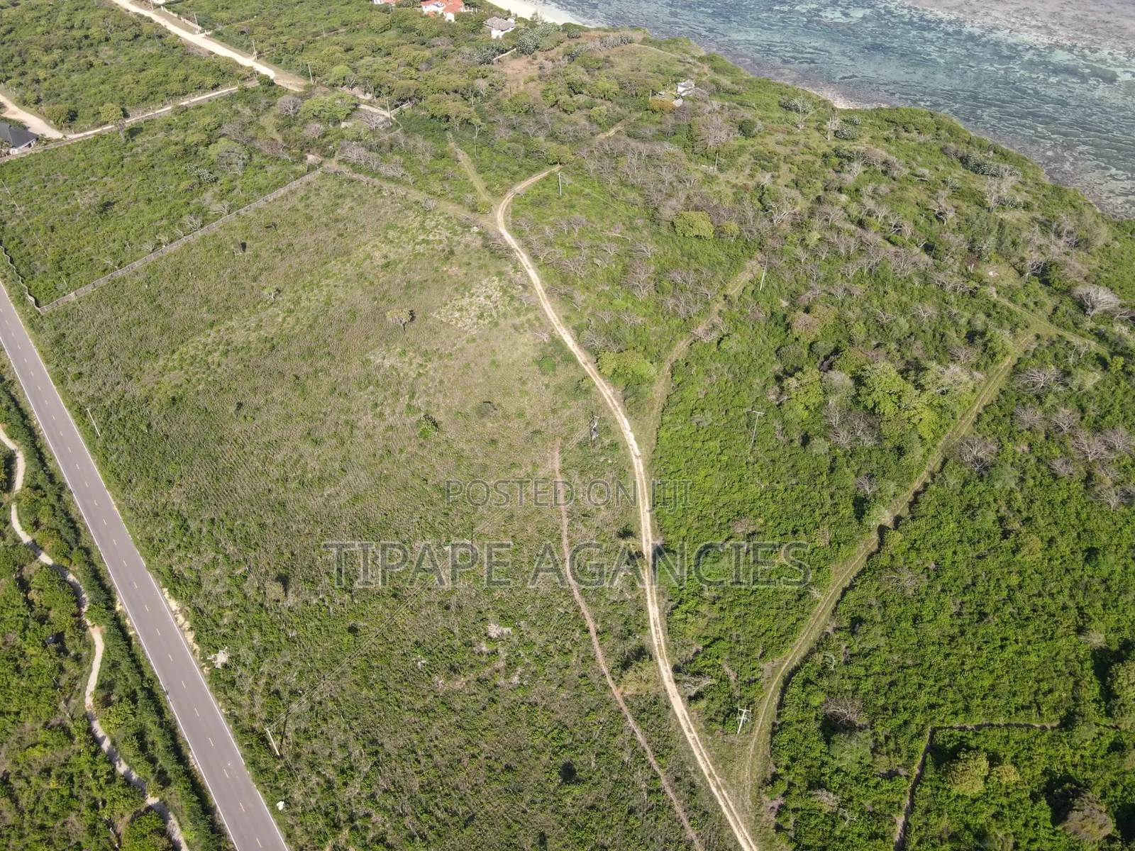 Land for Sale in Vipingo