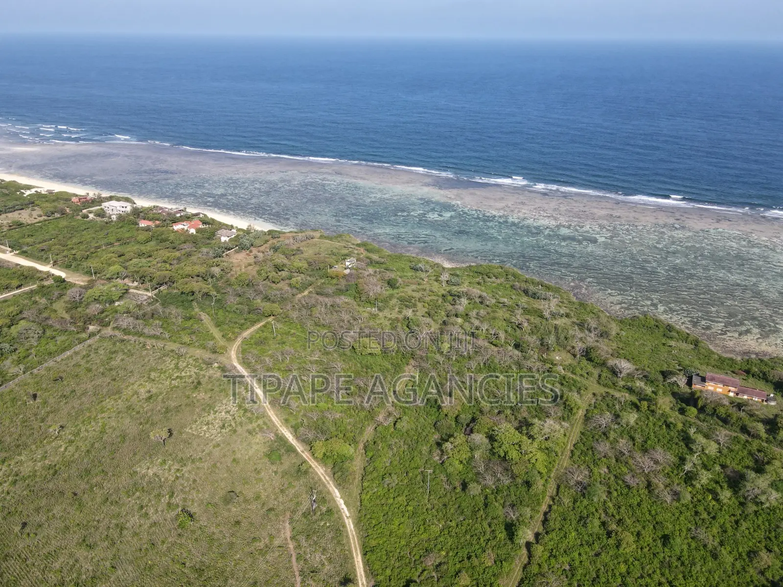 Land for Sale in Vipingo