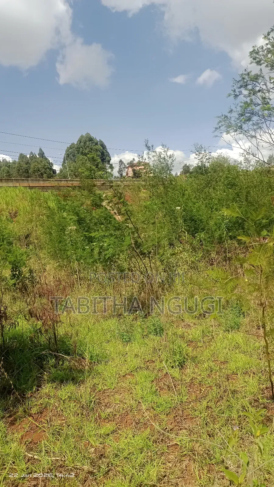 1/2 Acre Ngong Town in Ngong