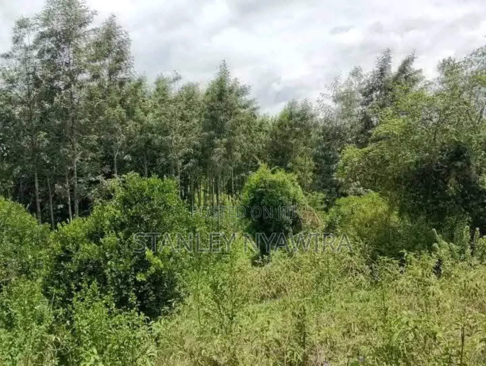 8 Acre Sale Fronting Tarmac With Permanent River Nanyuki in Laikipia East
