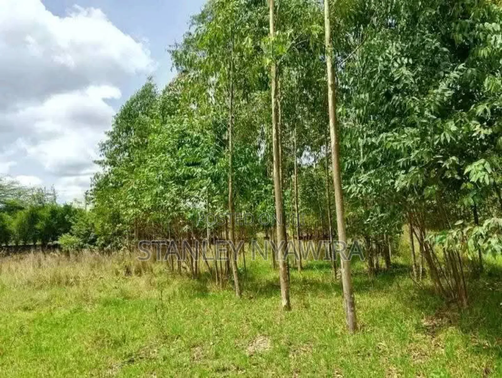 8 Acre Sale Fronting Tarmac With Permanent River Nanyuki in Laikipia East