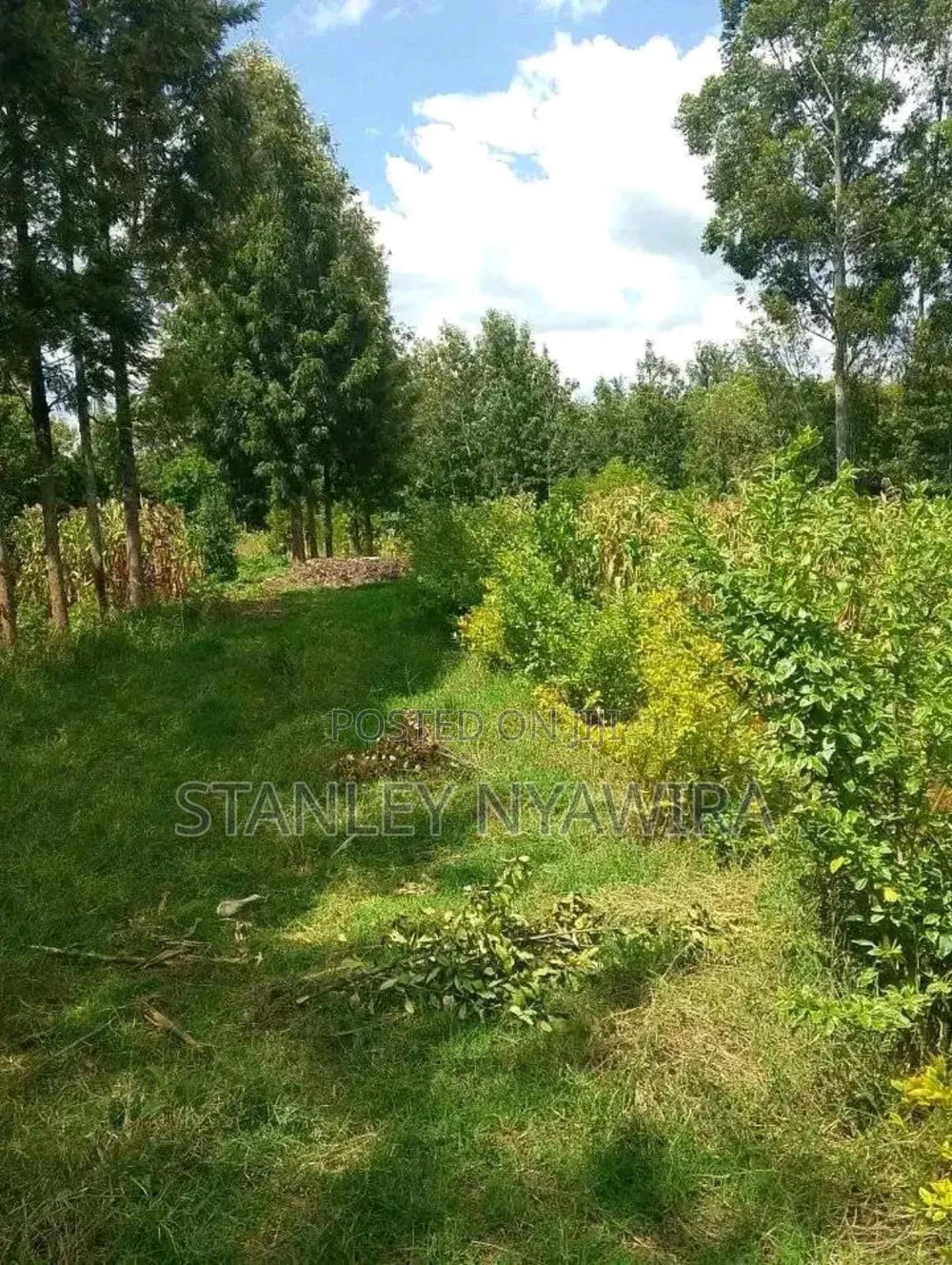 2 Acres Fronting River in Nanyuki for Sale in Laikipia East