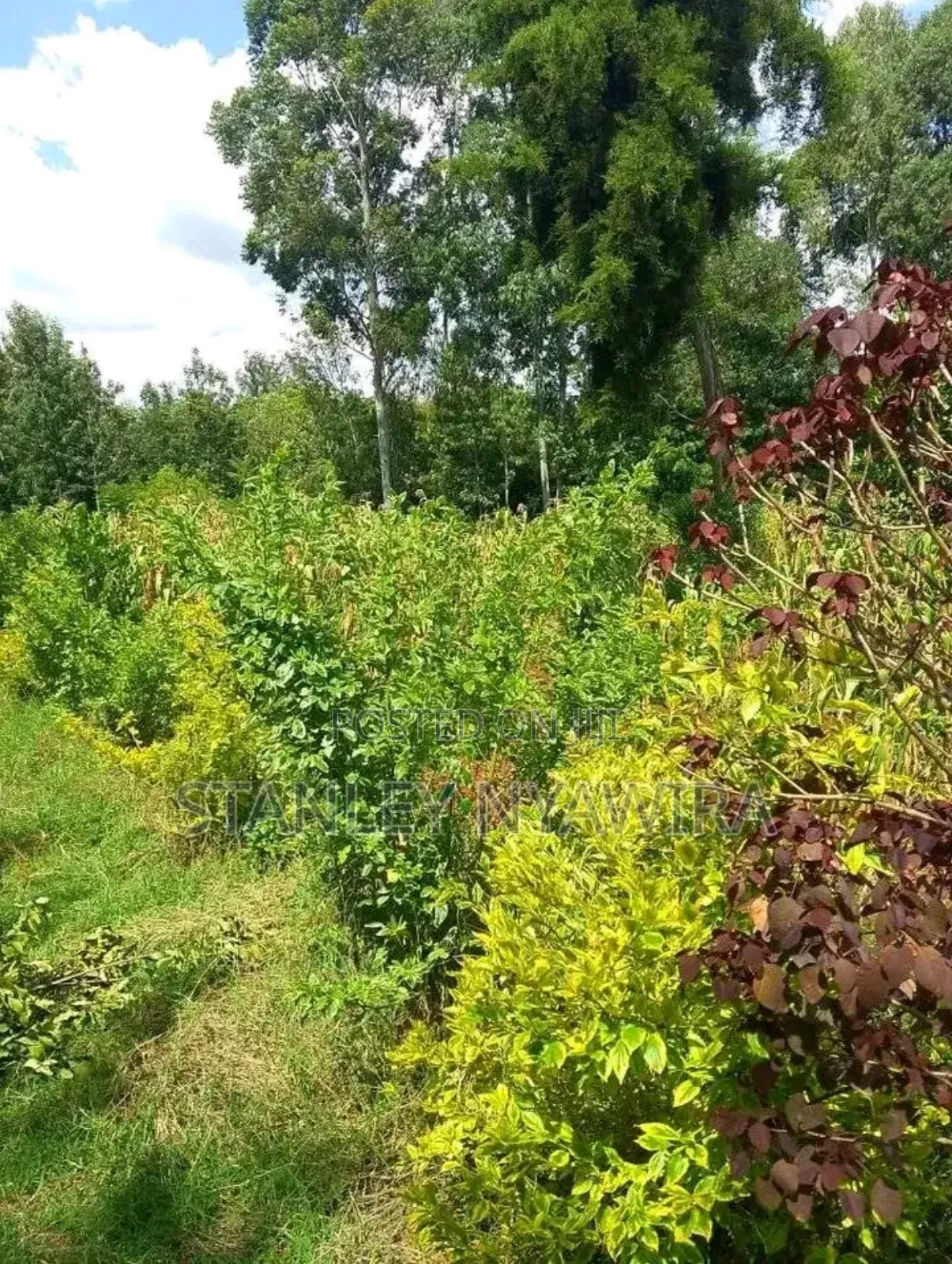 2 Acres Fronting River in Nanyuki for Sale in Laikipia East