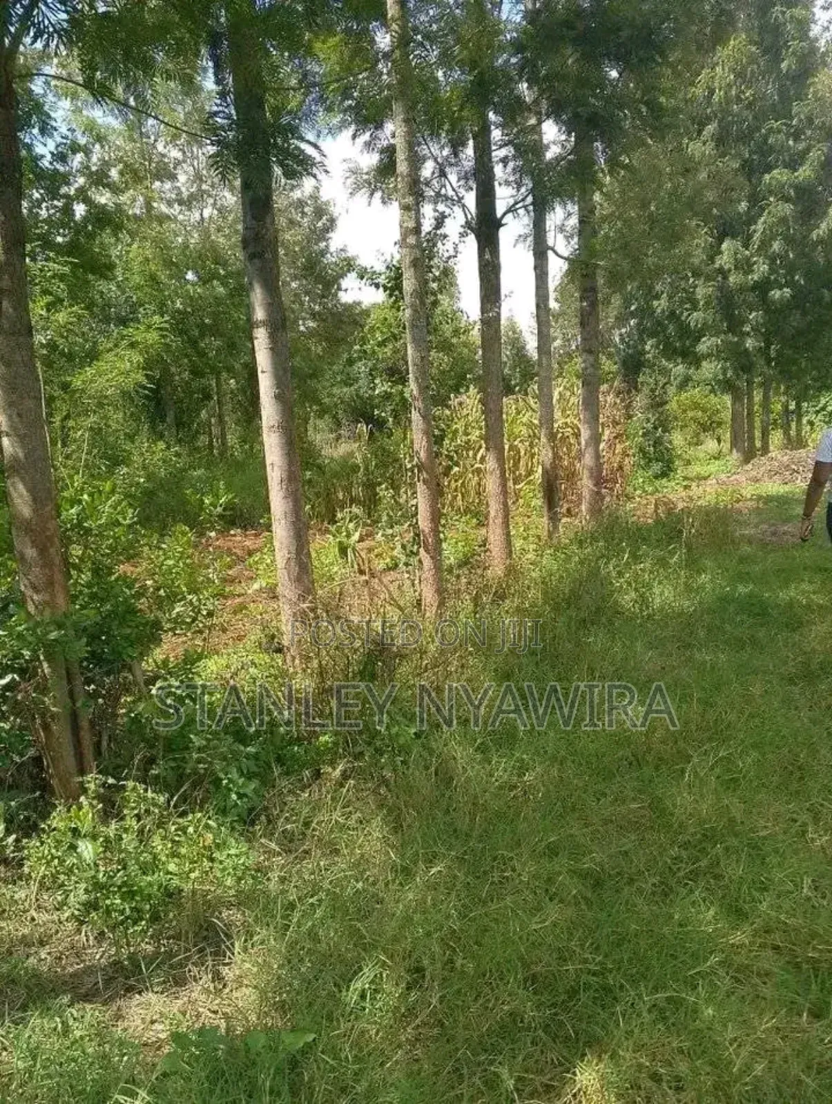 2 Acres Fronting River in Nanyuki for Sale in Laikipia East