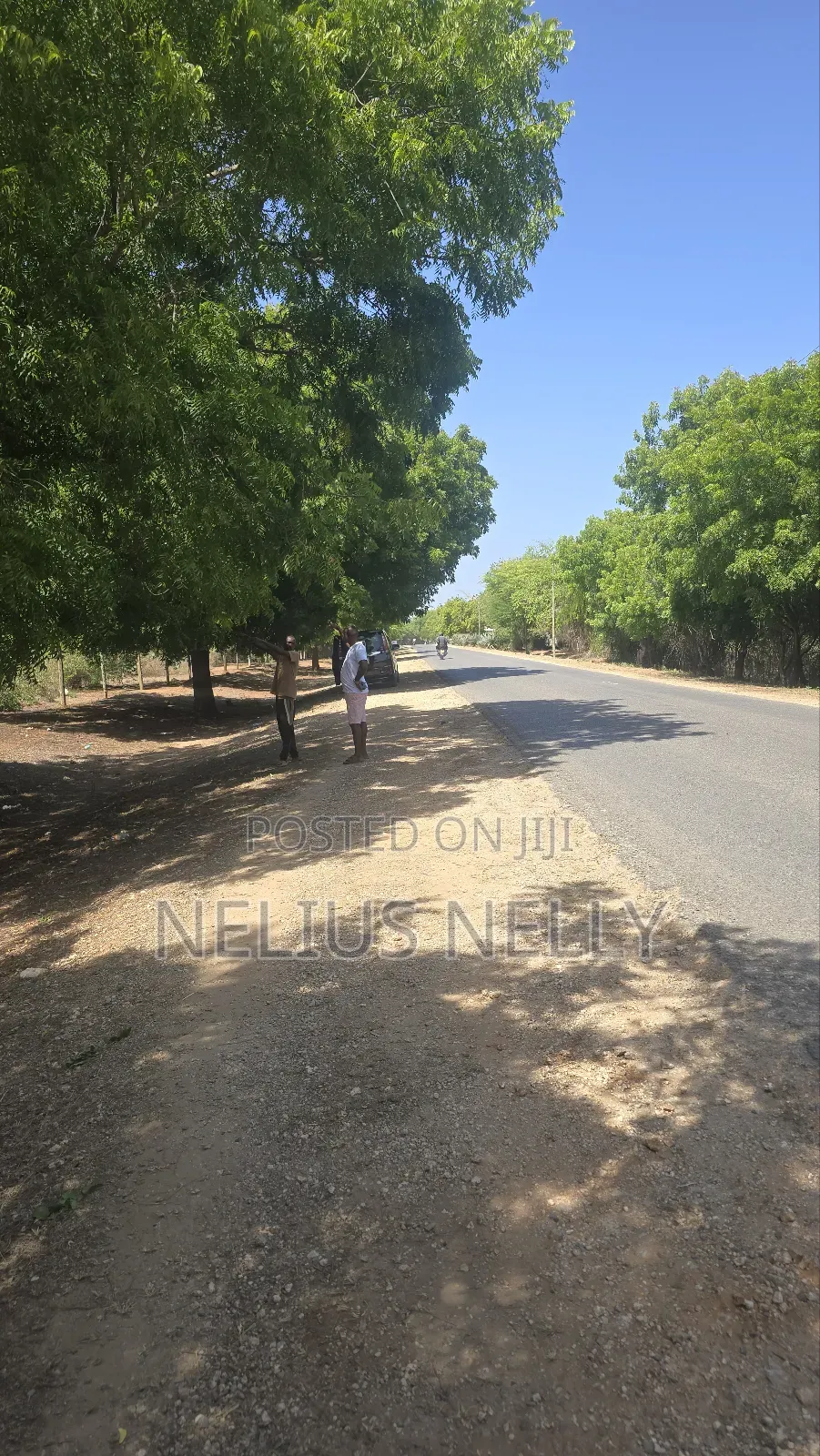 2acres Bofa Kilifi Touching Bofa Road Just 100meters to Beach in Kilifi South