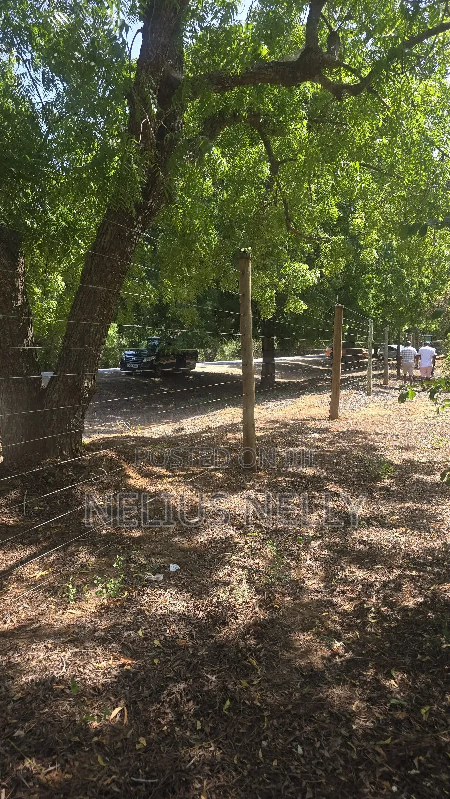 2acres Bofa Kilifi Touching Bofa Road Just 100meters to Beach in Kilifi South