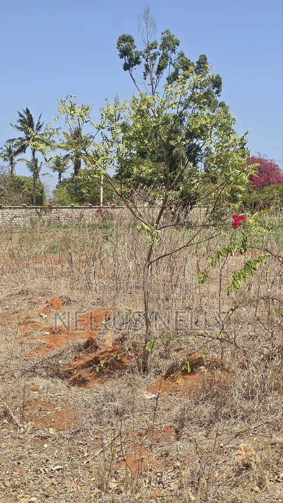2acres Bofa Kilifi Touching Bofa Road Just 100meters to Beach in Kilifi South