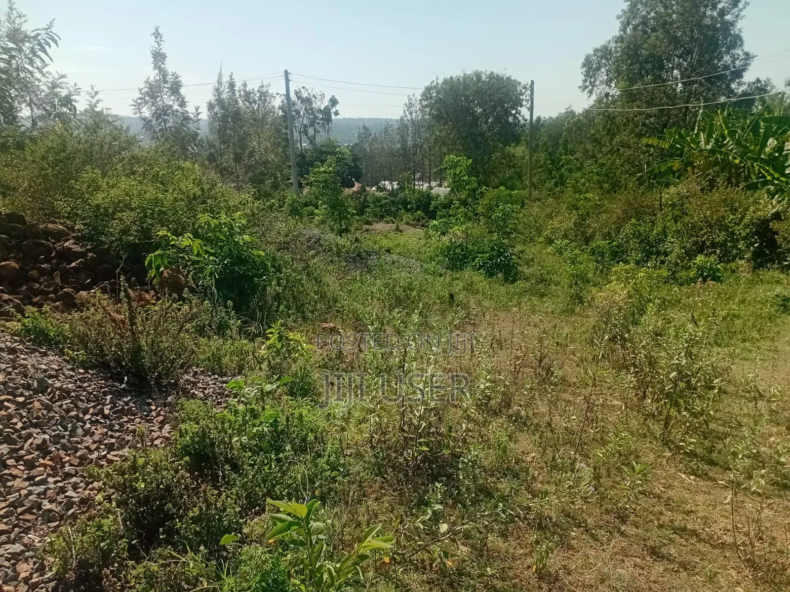 Prime Residential Plot in Homa Bay in Homa Bay Central