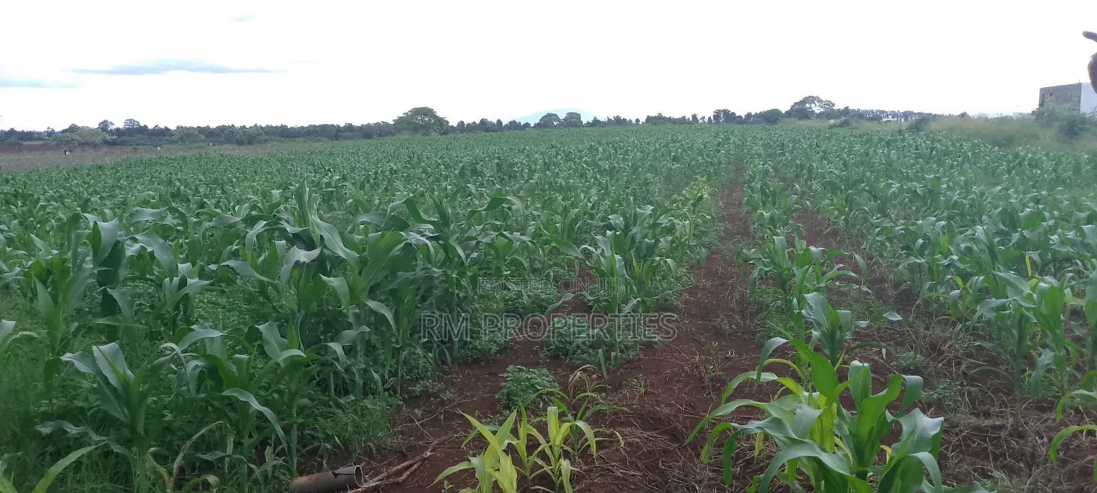 Nyamathi Prime Land for Sale in Naivasha