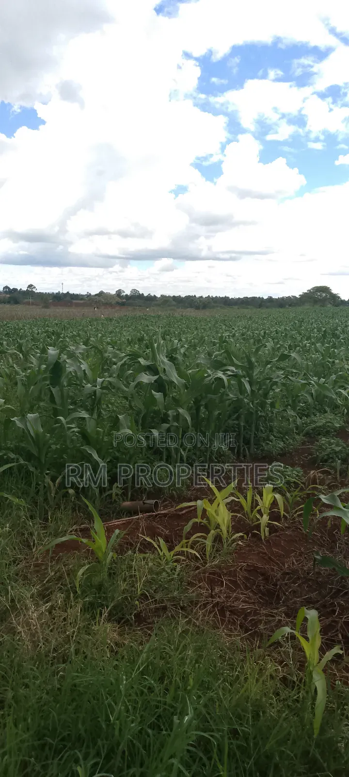 Nyamathi Prime Land for Sale in Naivasha